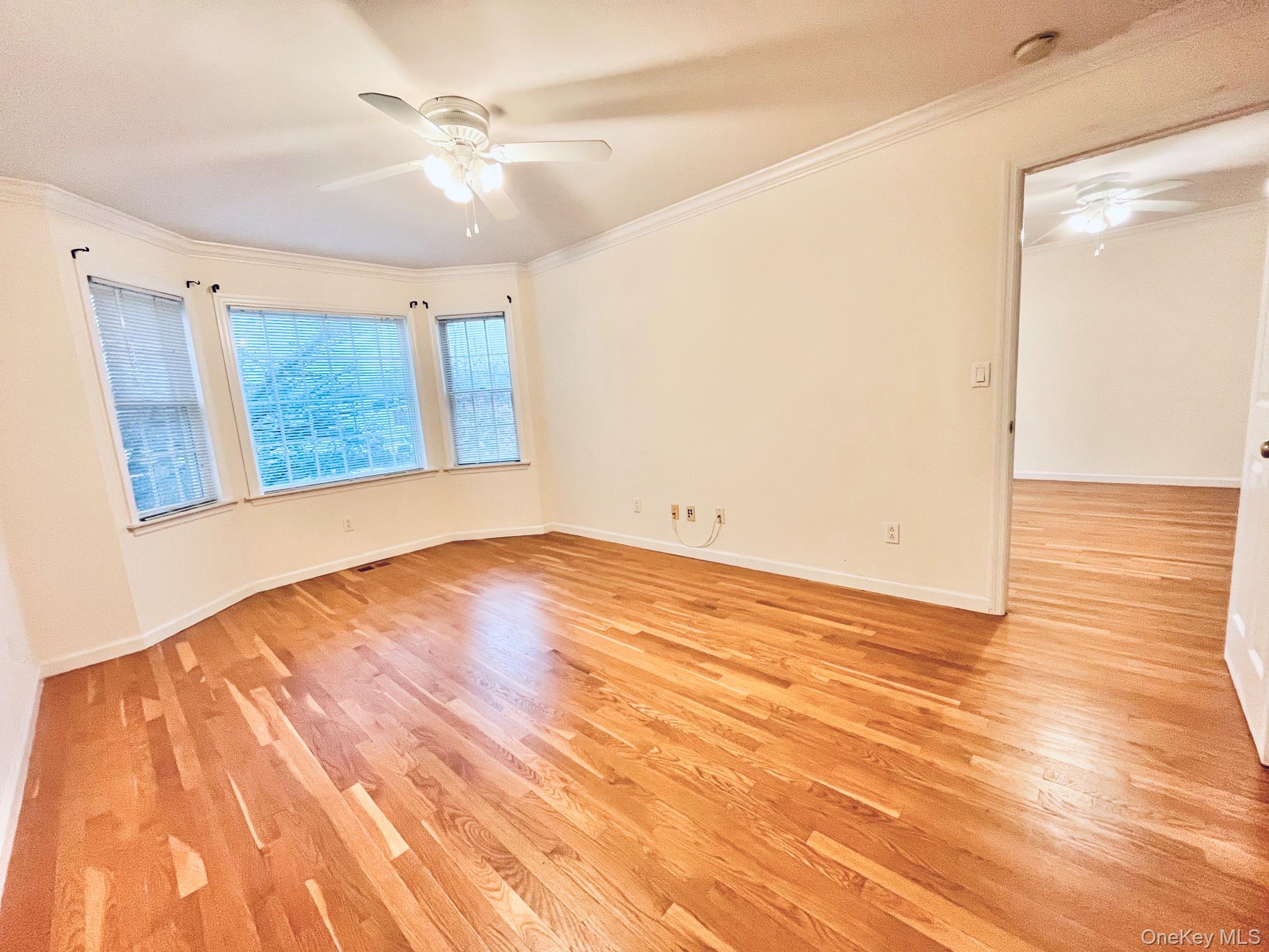 153 Montgomery Avenue, Unit B photo 7