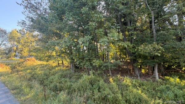 Highview Avenue – For Sale photo 3