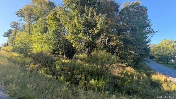 Highview Avenue – For Sale photo 6