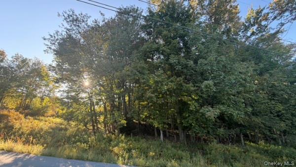 Highview Avenue – For Sale photo 2