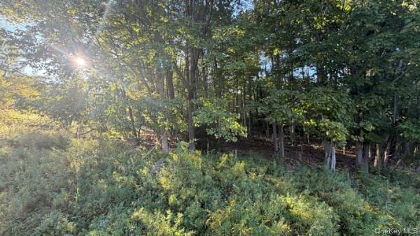 Highview Avenue – For Sale photo 4