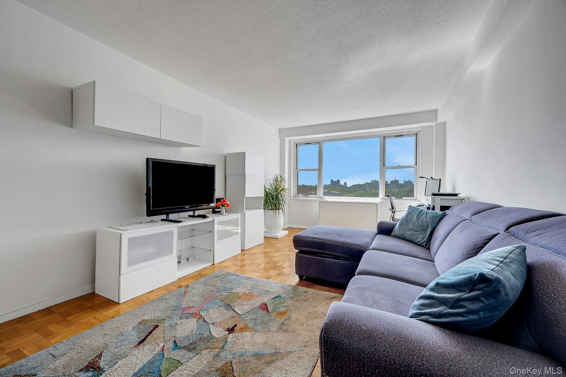 2400 Johnson Avenue, Unit 4G photo 8