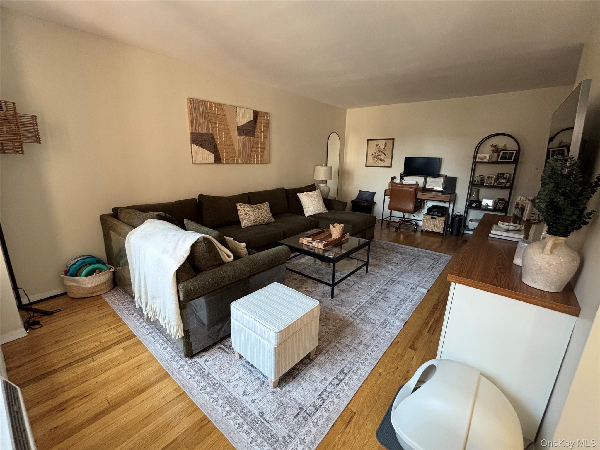 410 E. Broadway, Unit 3S photo 5