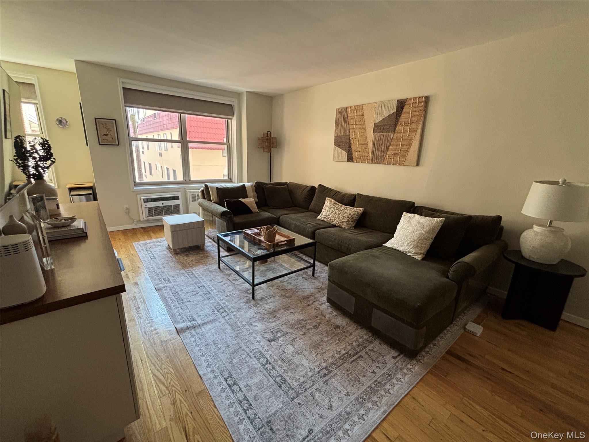 410 E. Broadway, Unit 3S photo 7