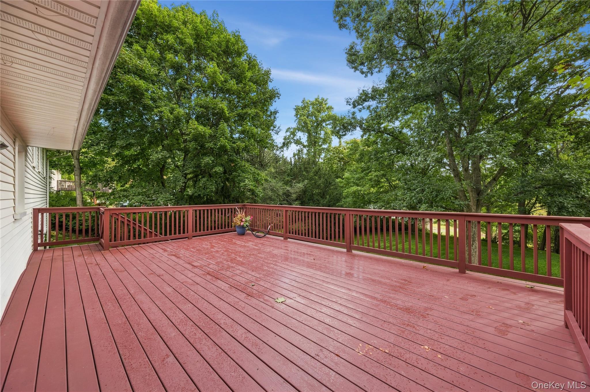 6 Hillside Terrace – For Sale photo 41