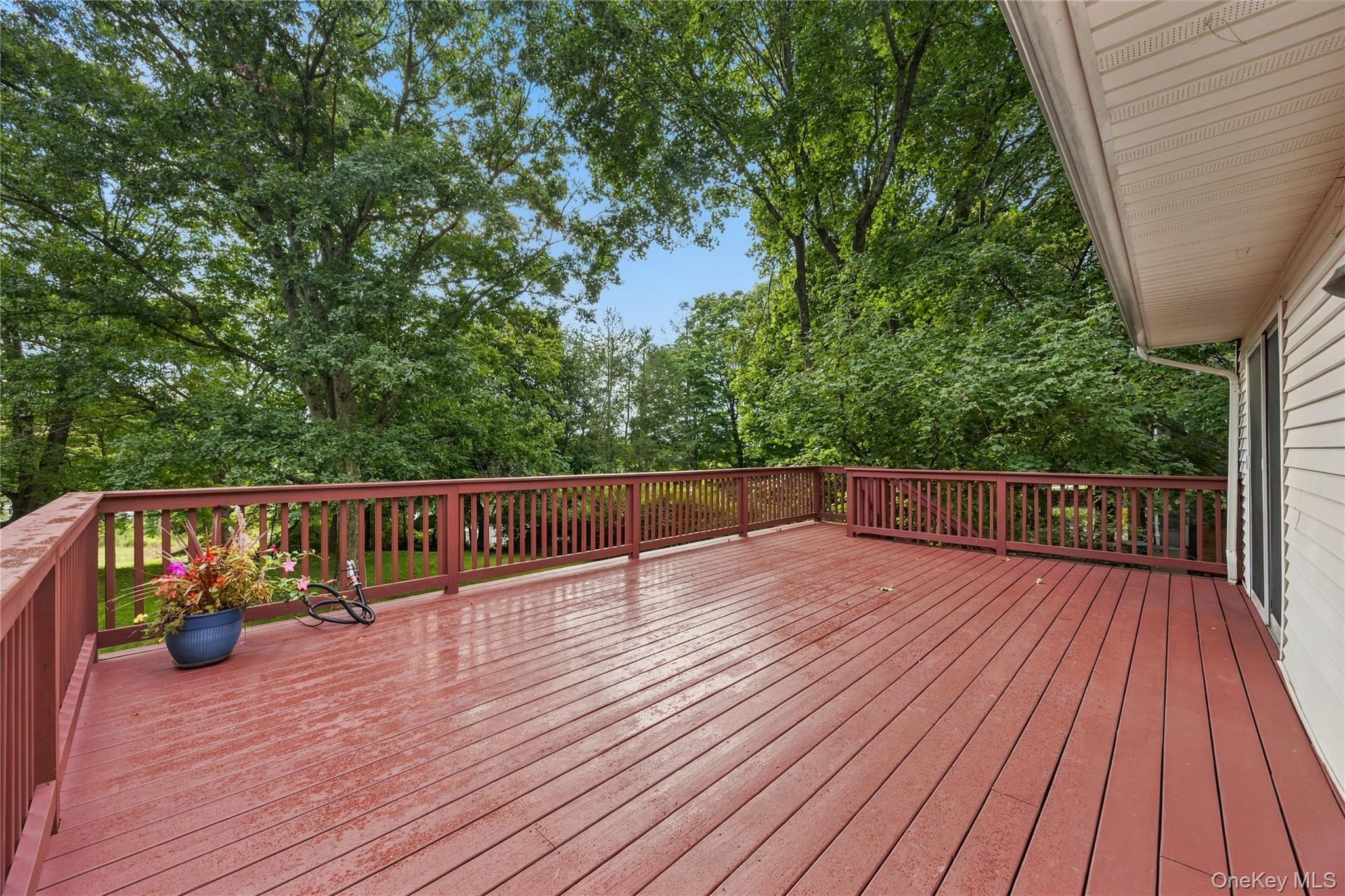 6 Hillside Terrace – For Sale photo 39