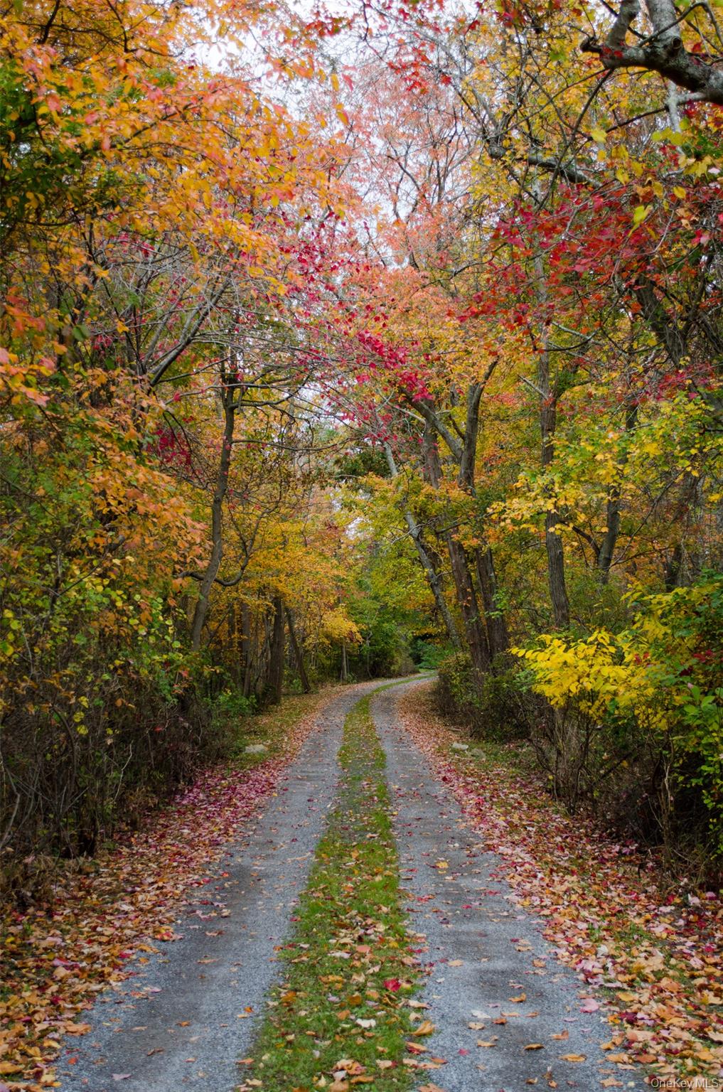 61341 Route 25 – For Sale photo 35
