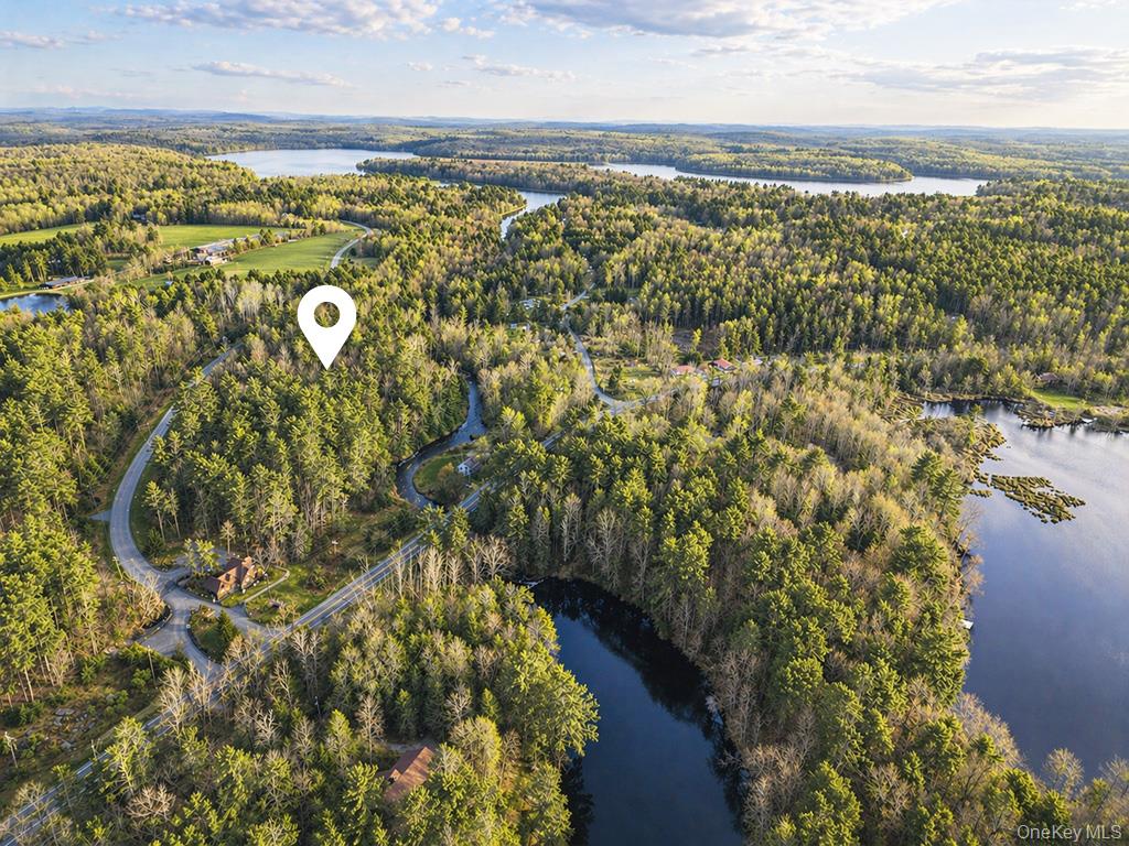 Chapin Trail – For Sale photo 2