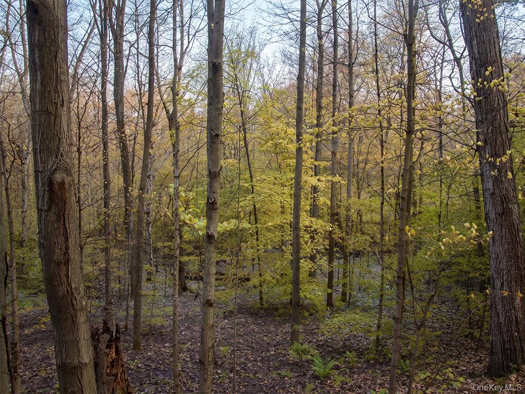 Chapin Trail – For Sale photo 8