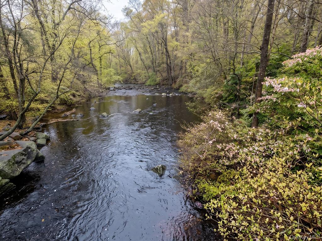 Chapin Trail – For Sale photo 3