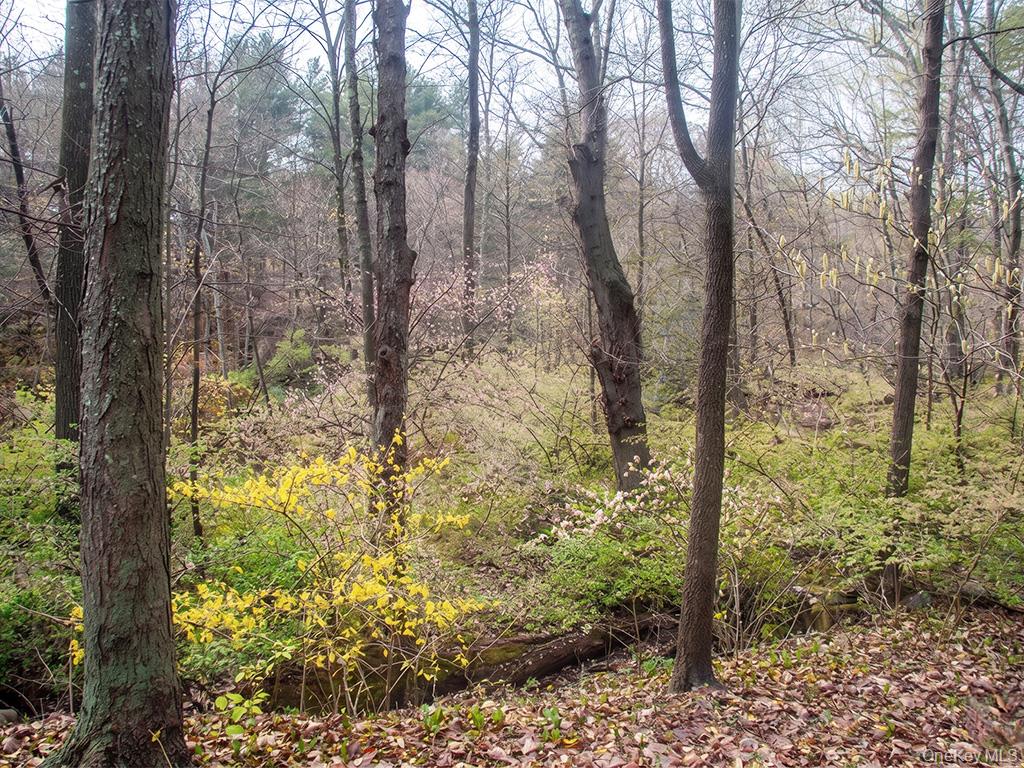 Chapin Trail – For Sale photo 4