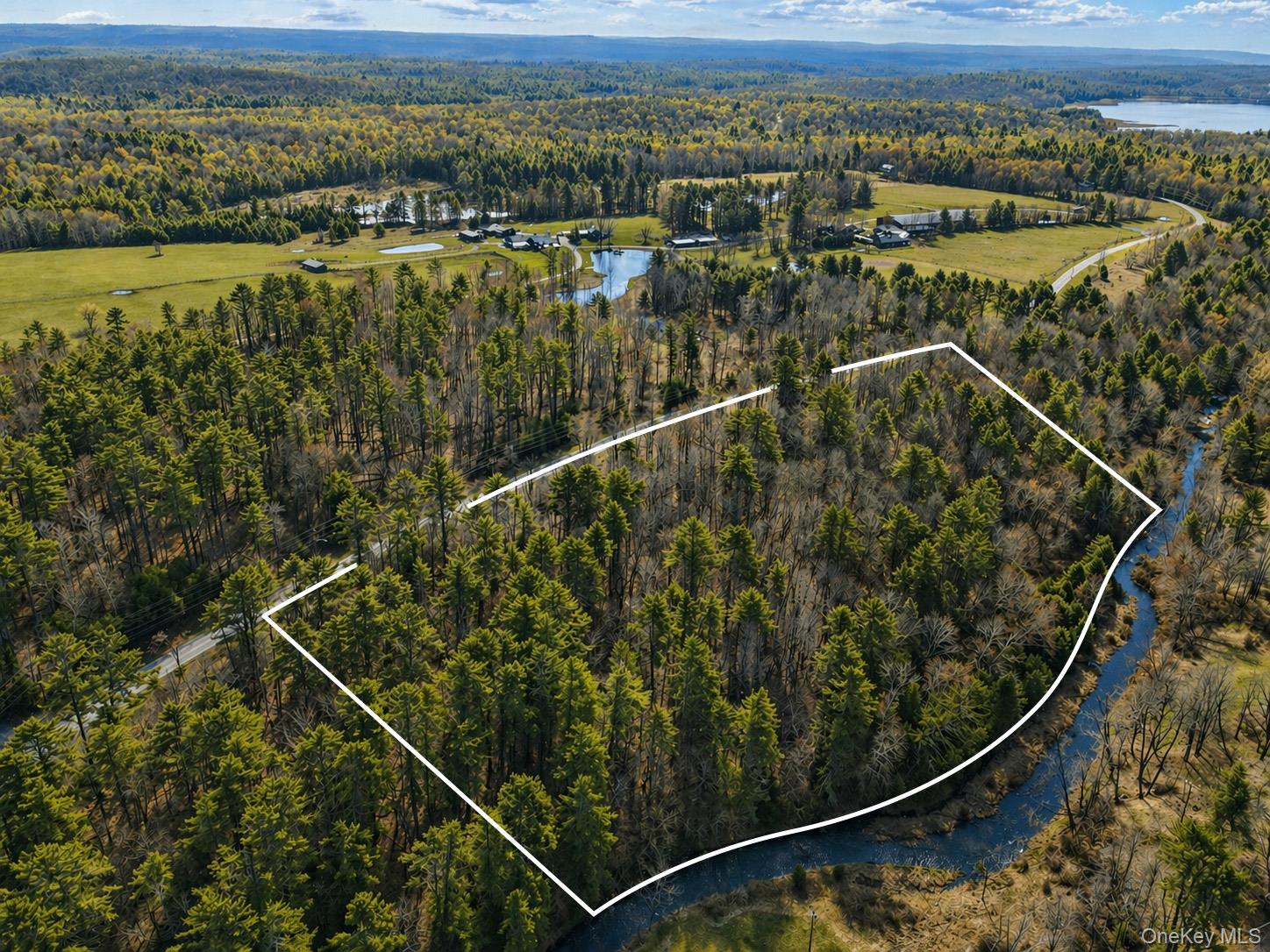 Chapin Trail – For Sale