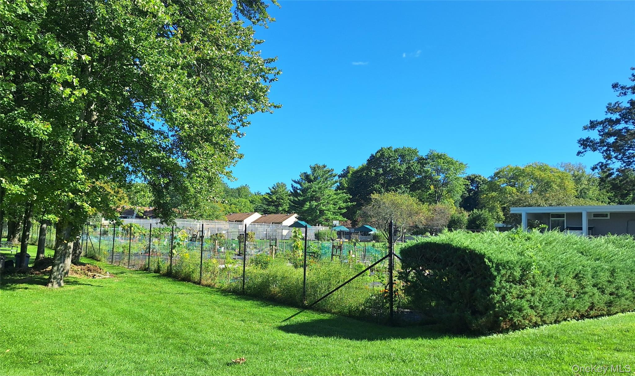 52 Jefferson Oval, Unit A photo 18