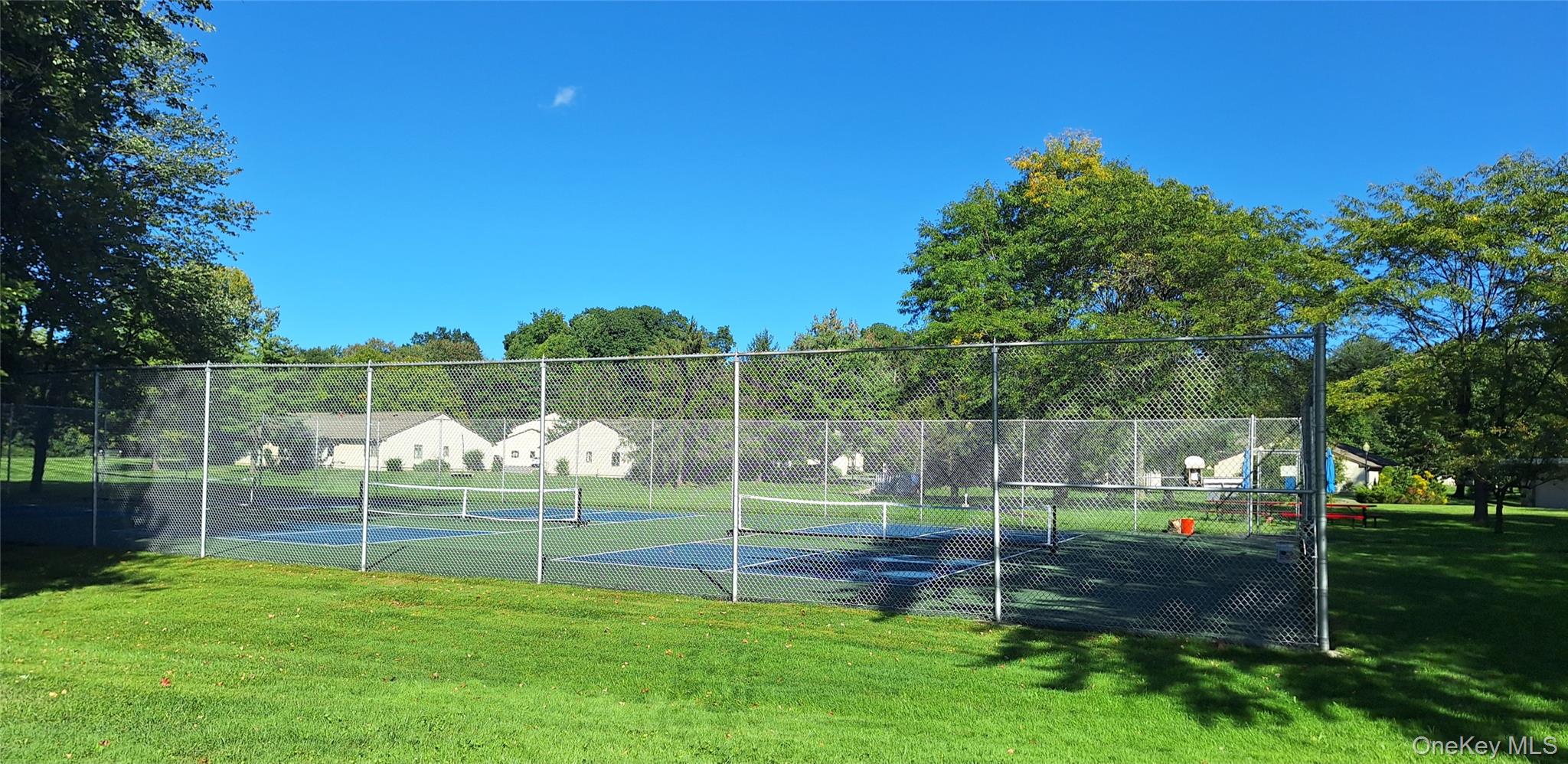 52 Jefferson Oval, Unit A photo 17