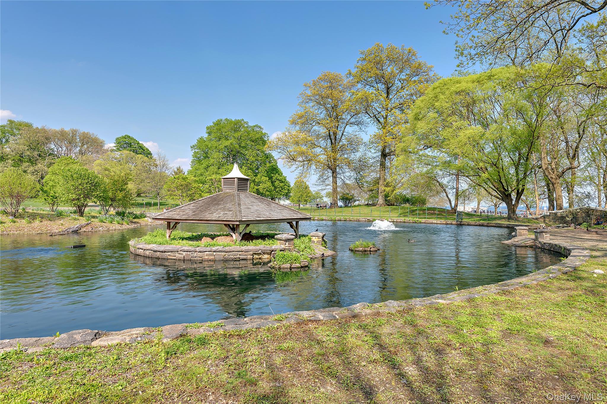 9 Oakwood Avenue – For Sale photo 34