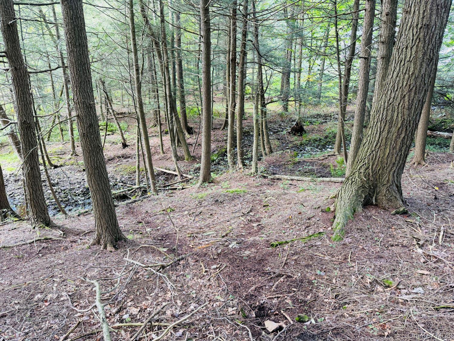 5790 Cr-28 – For Sale photo 17