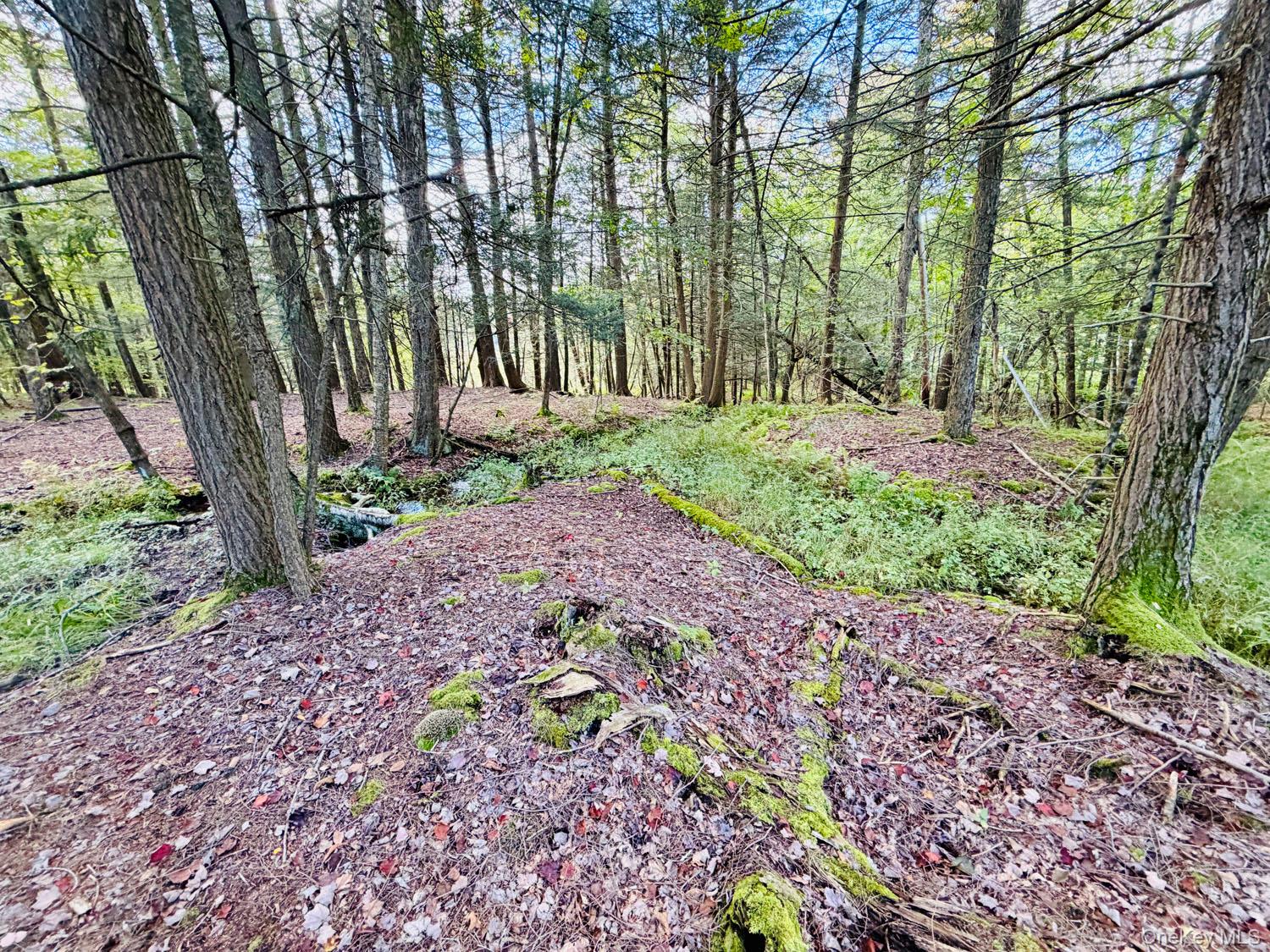 5790 Cr-28 – For Sale photo 19