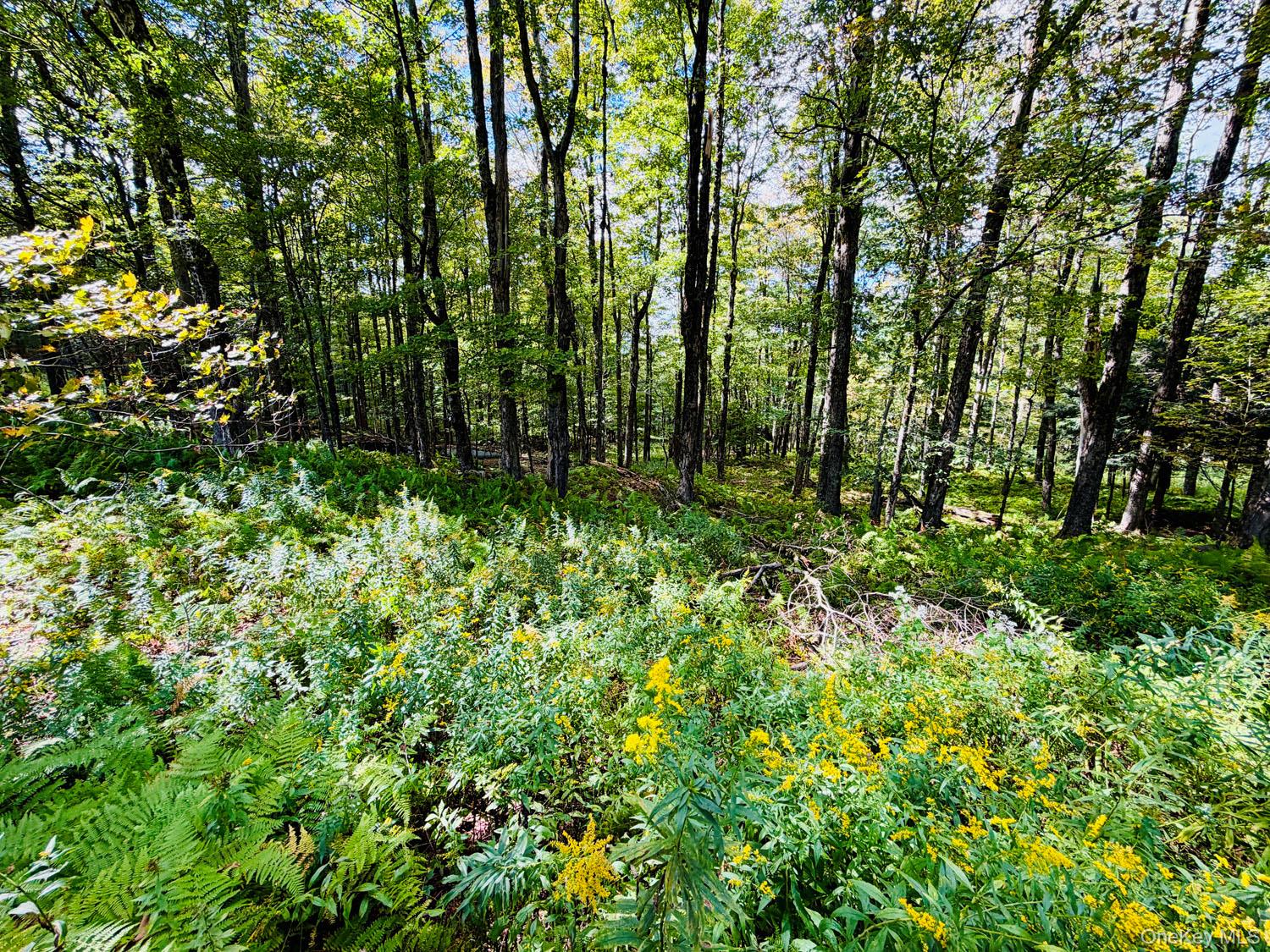 5790 Cr-28 – For Sale photo 14