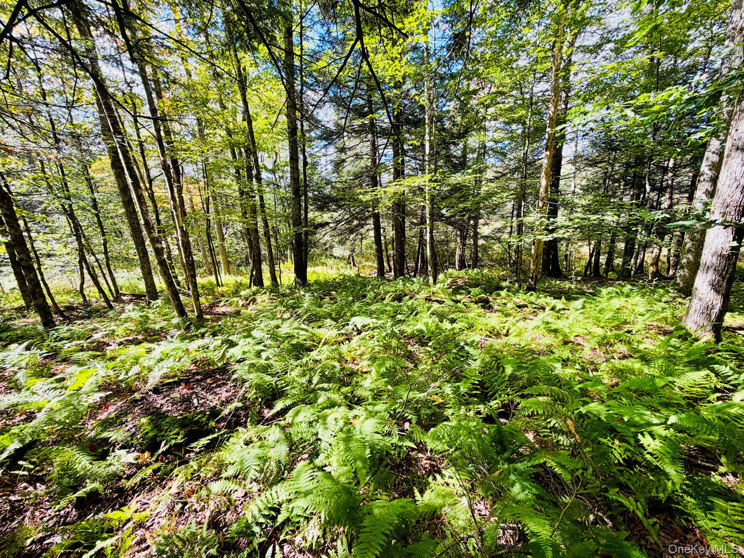 5790 Cr-28 – For Sale photo 16