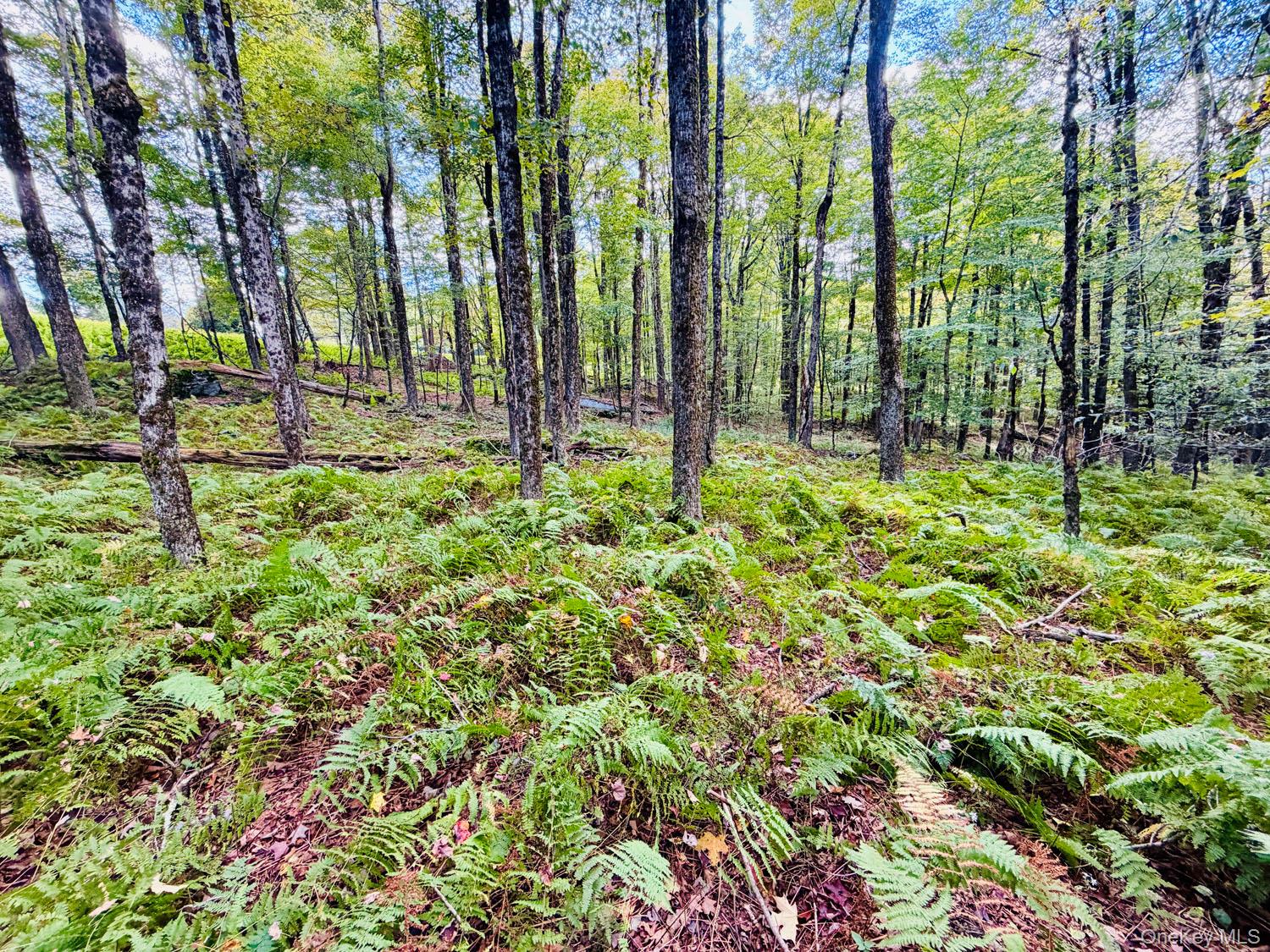 5790 Cr-28 – For Sale photo 15
