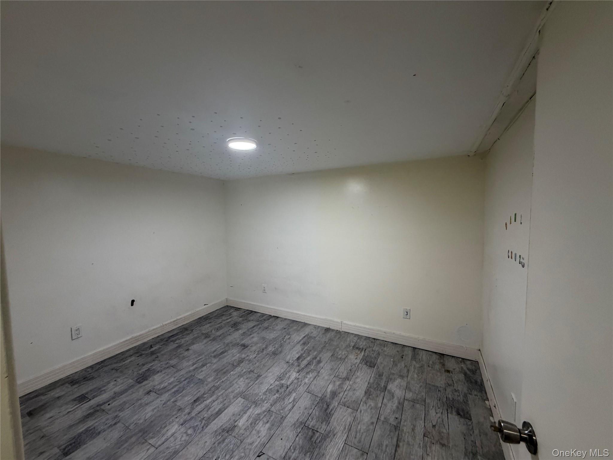 18 Alexander Avenue, Unit 1+2 photo 19