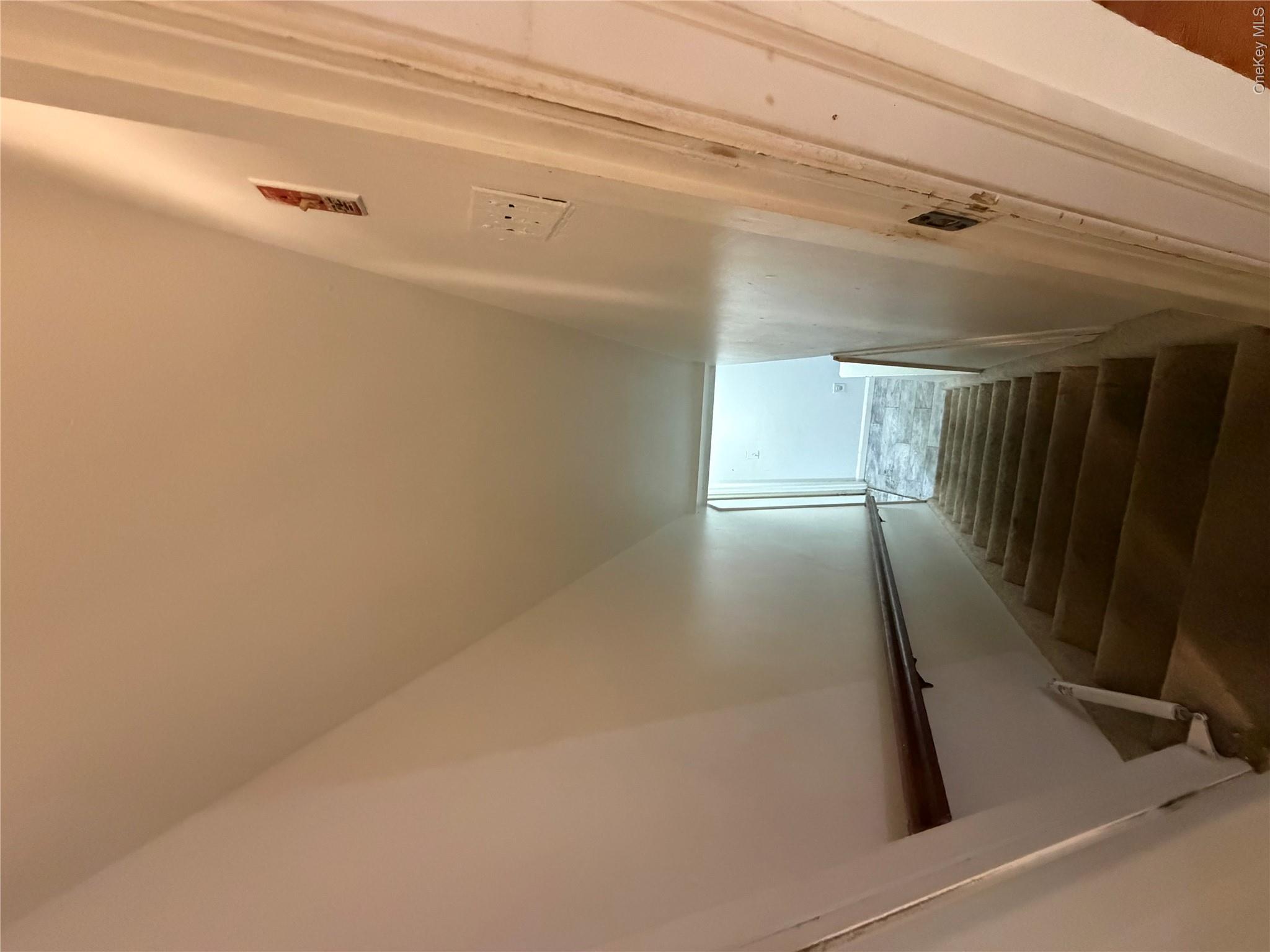 18 Alexander Avenue, Unit 1+2 photo 13