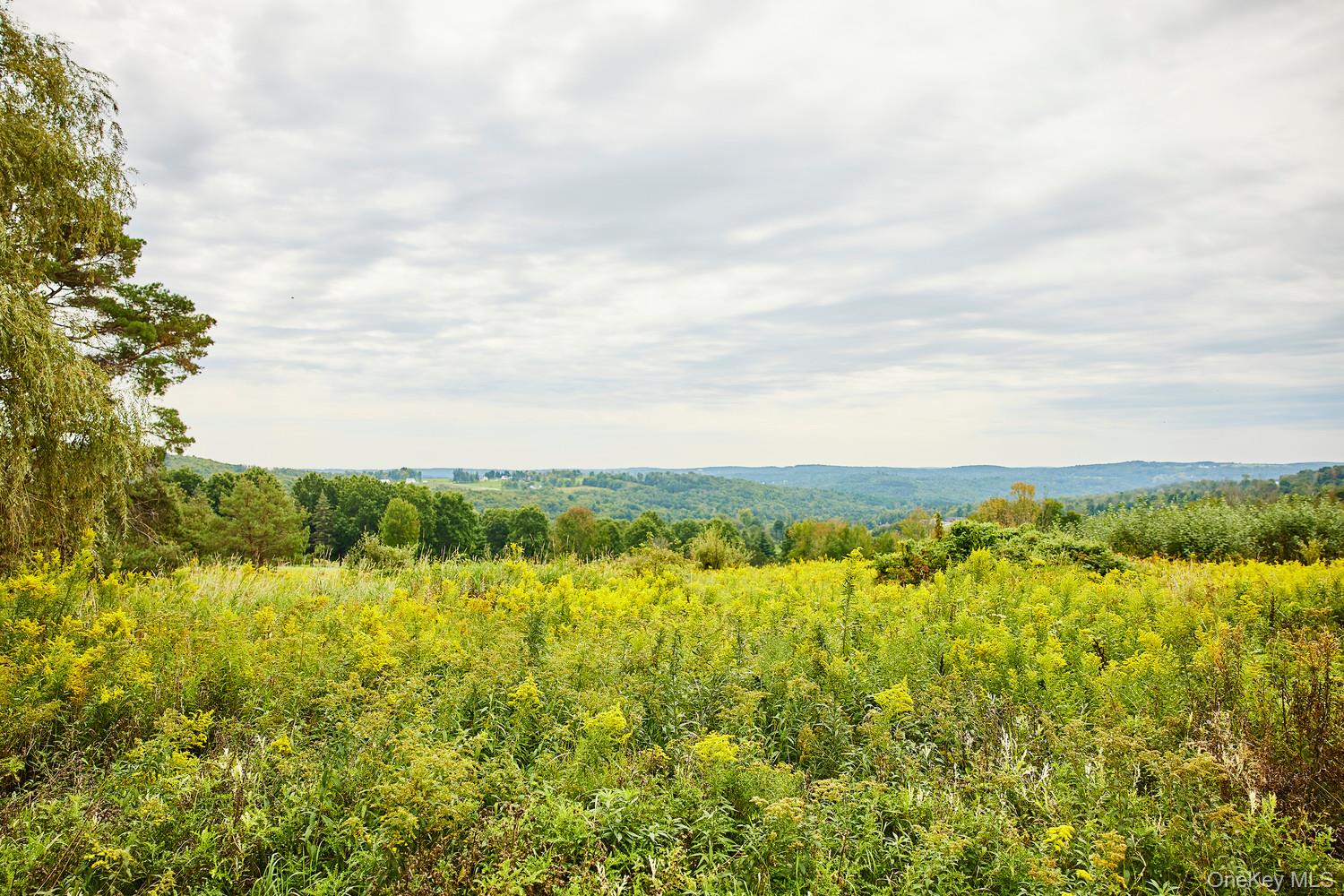 519 Route 164 – For Sale photo 27