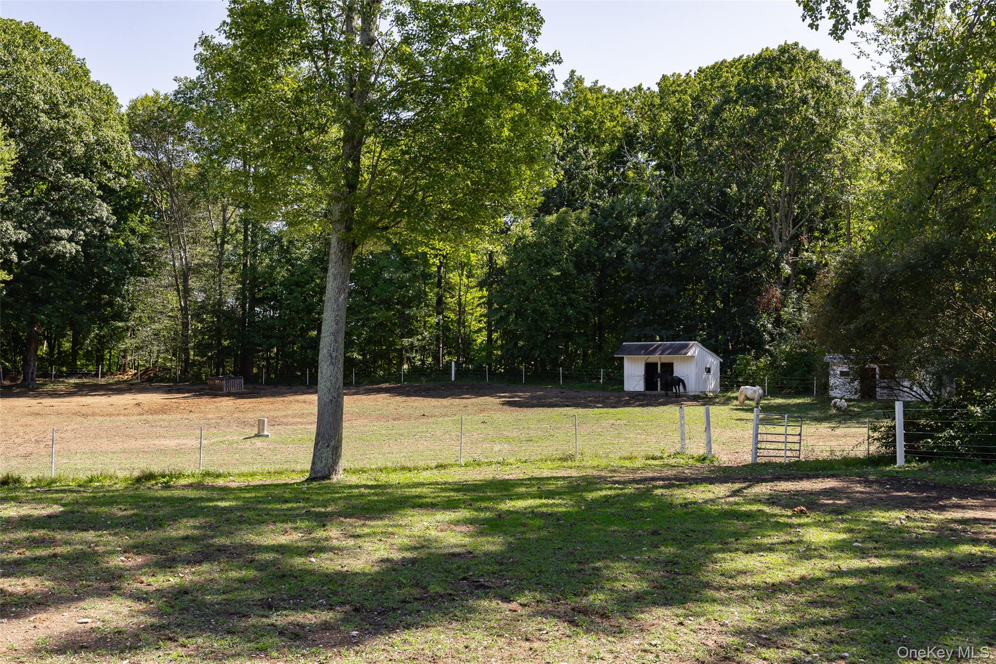 26 Gold Road – For Sale photo 39