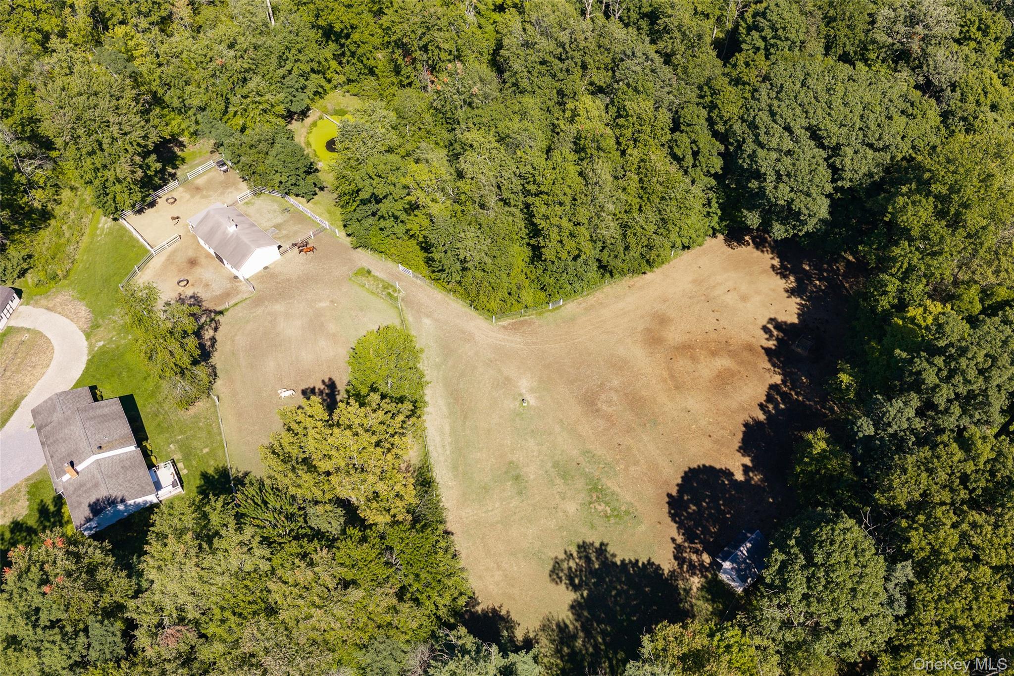 26 Gold Road – For Sale photo 43