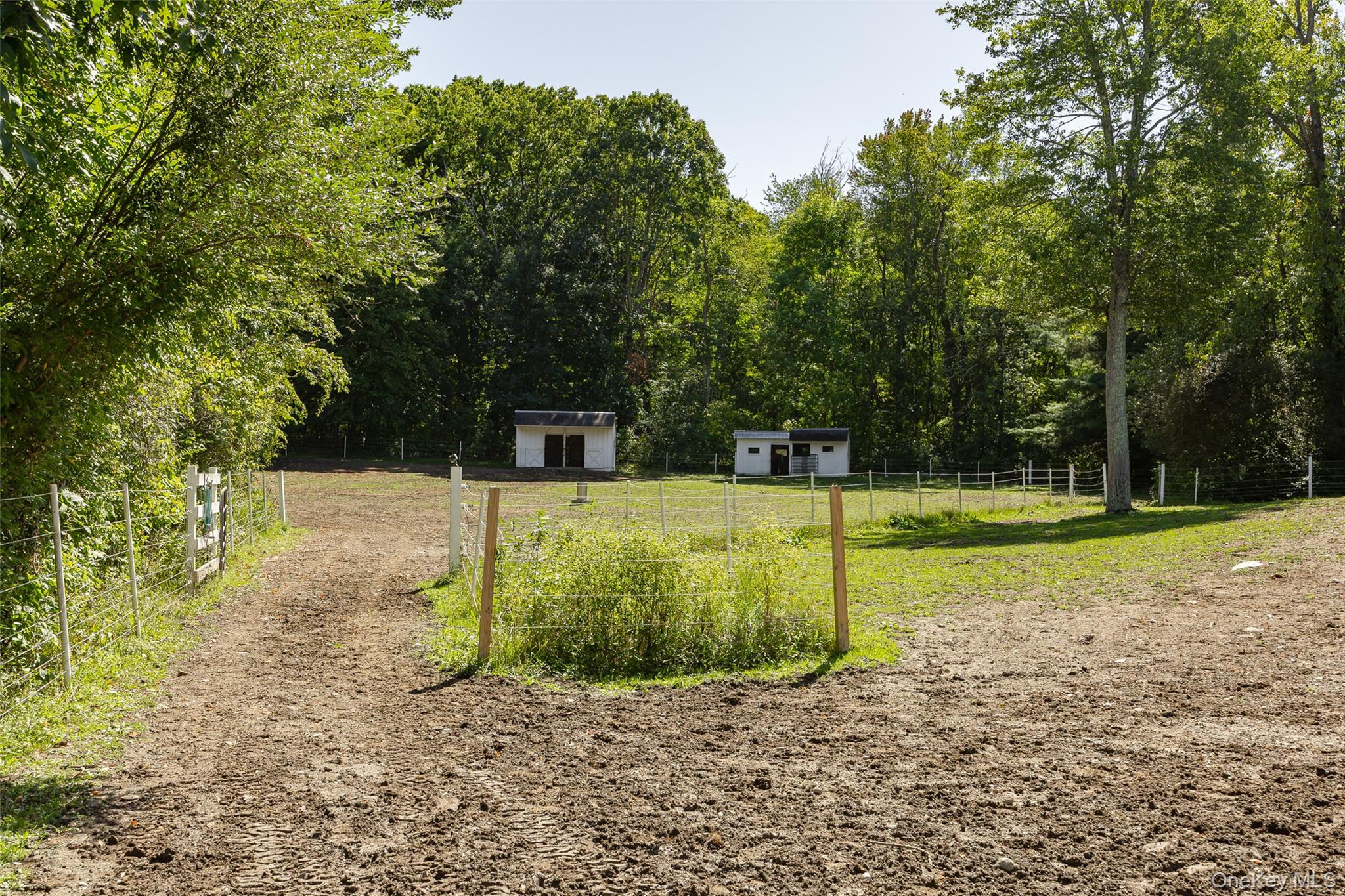 26 Gold Road – For Sale photo 40