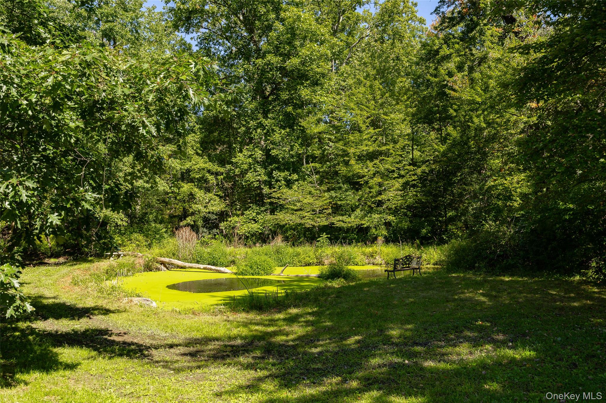 26 Gold Road – For Sale photo 42