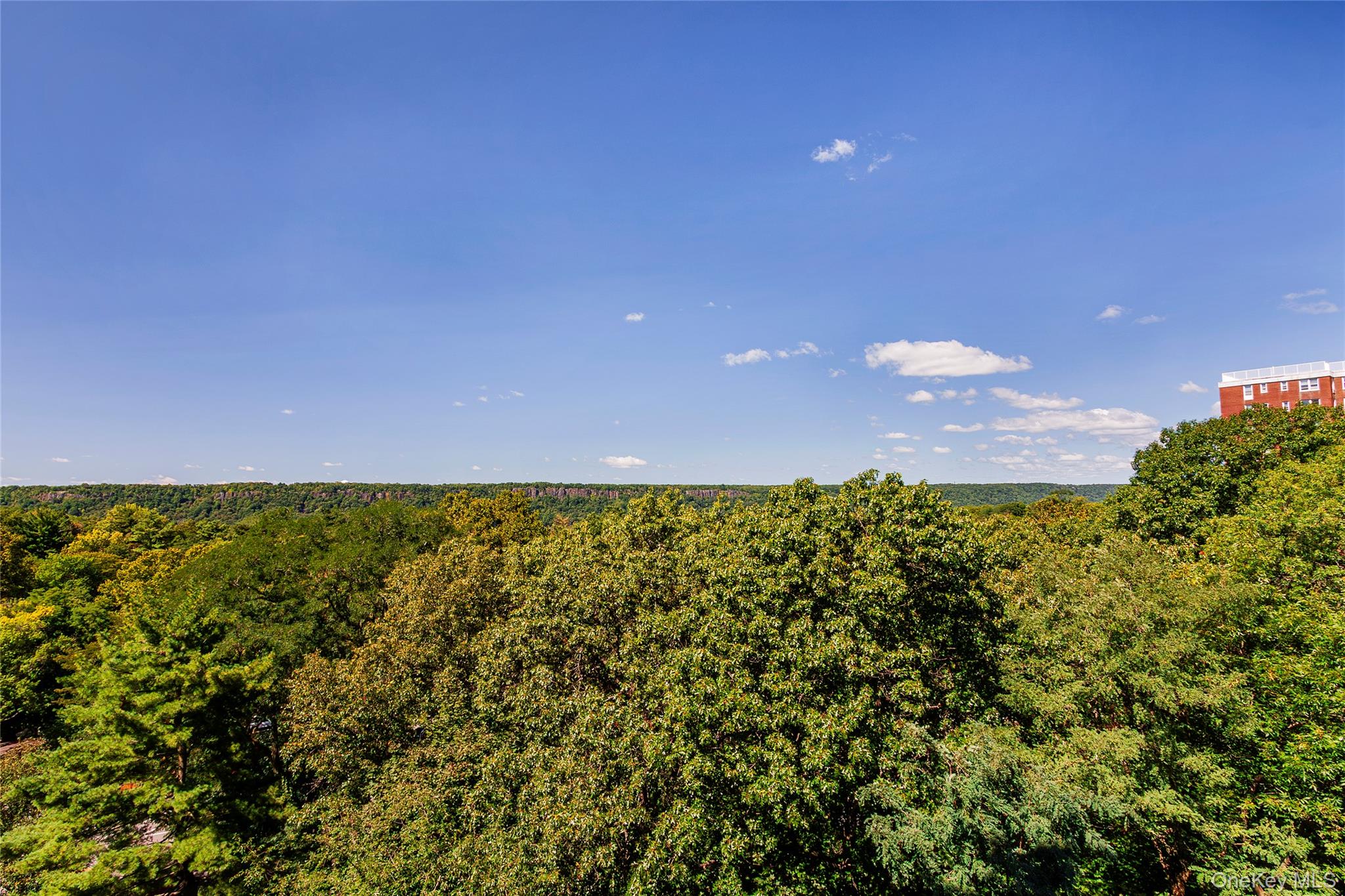 3935 Blackstone Avenue, Unit 8B photo 3