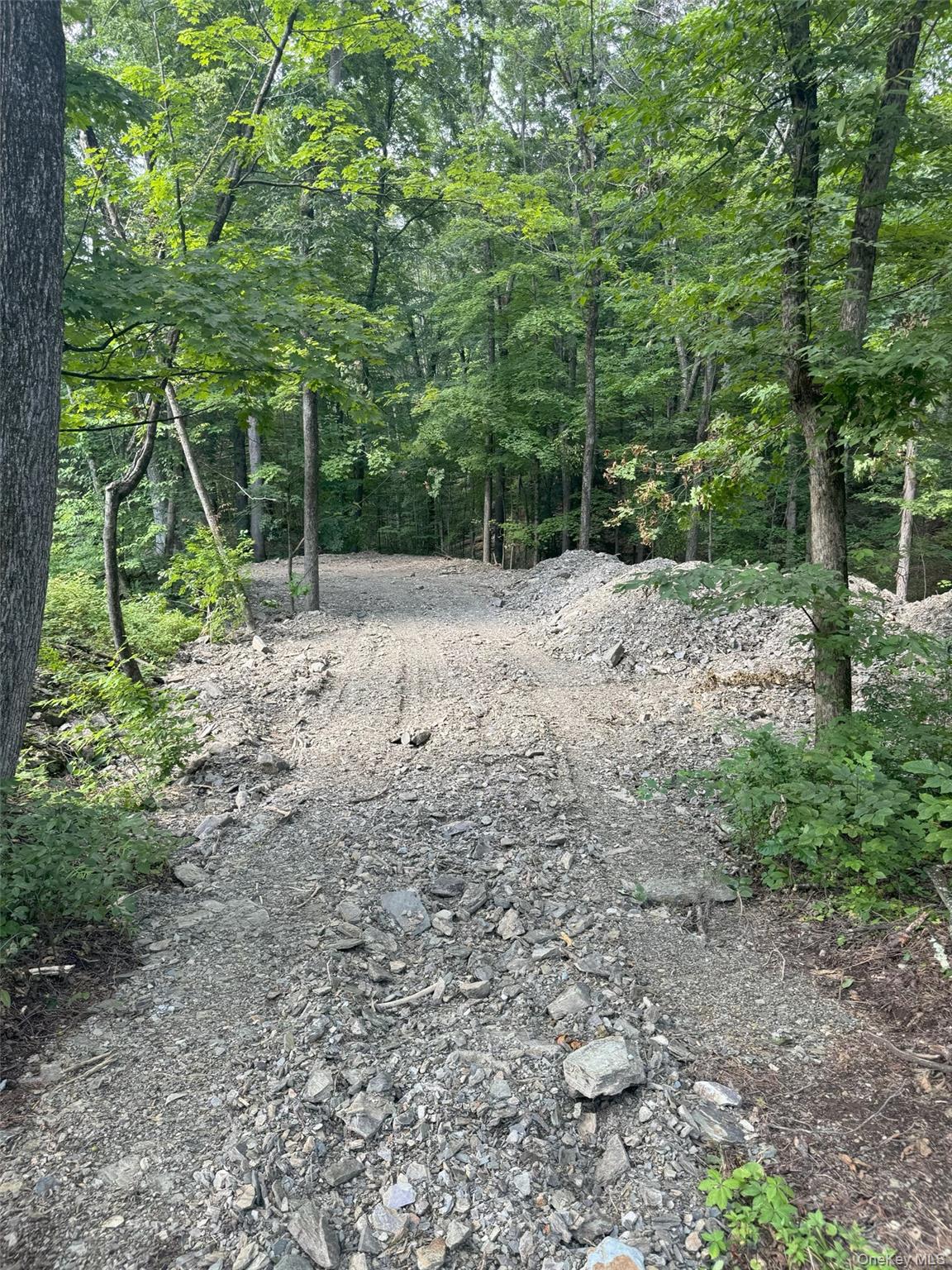 Lot 510455 Creek Road – For Sale photo 3