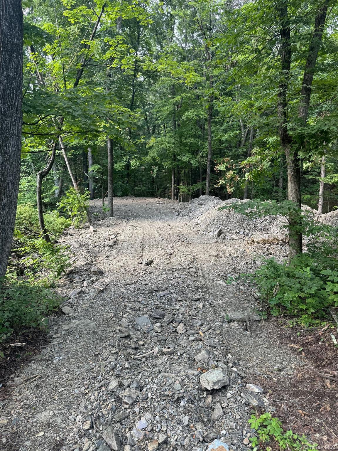 Lot 510455 Creek Road – For Sale photo 2