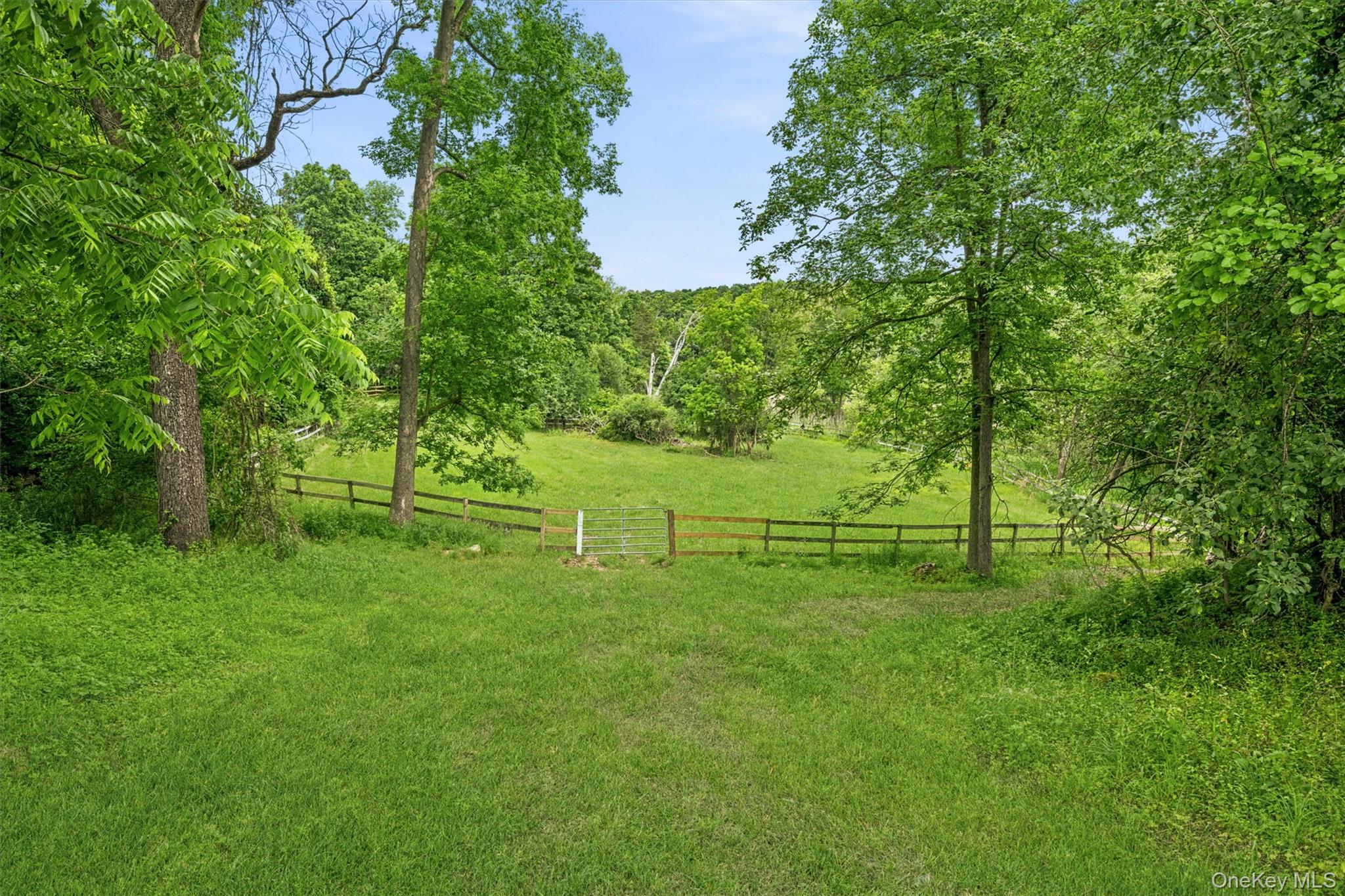 16 Almond Tree Lane – For Sale photo 33