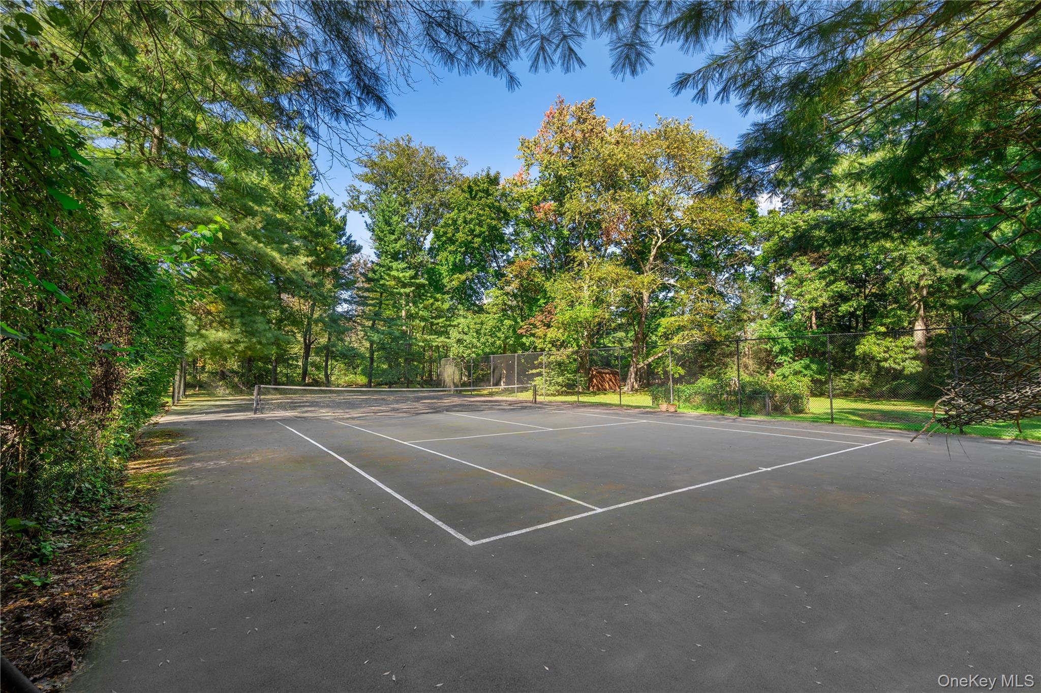 11 Surrey Lane – For Sale photo 46