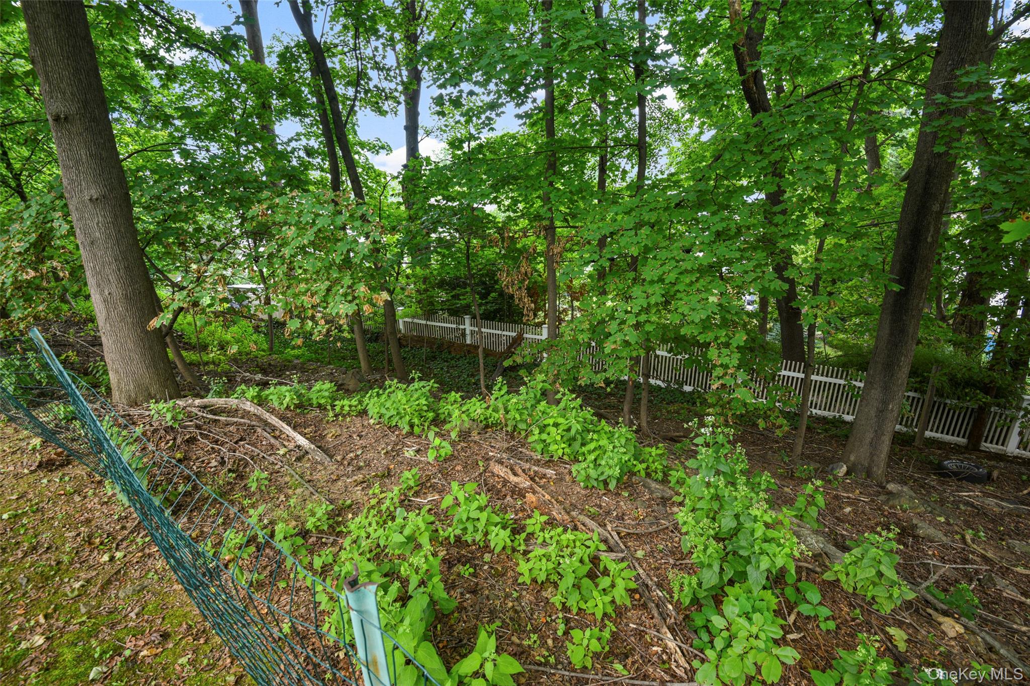 4 Ridgeview Avenue – For Sale photo 37