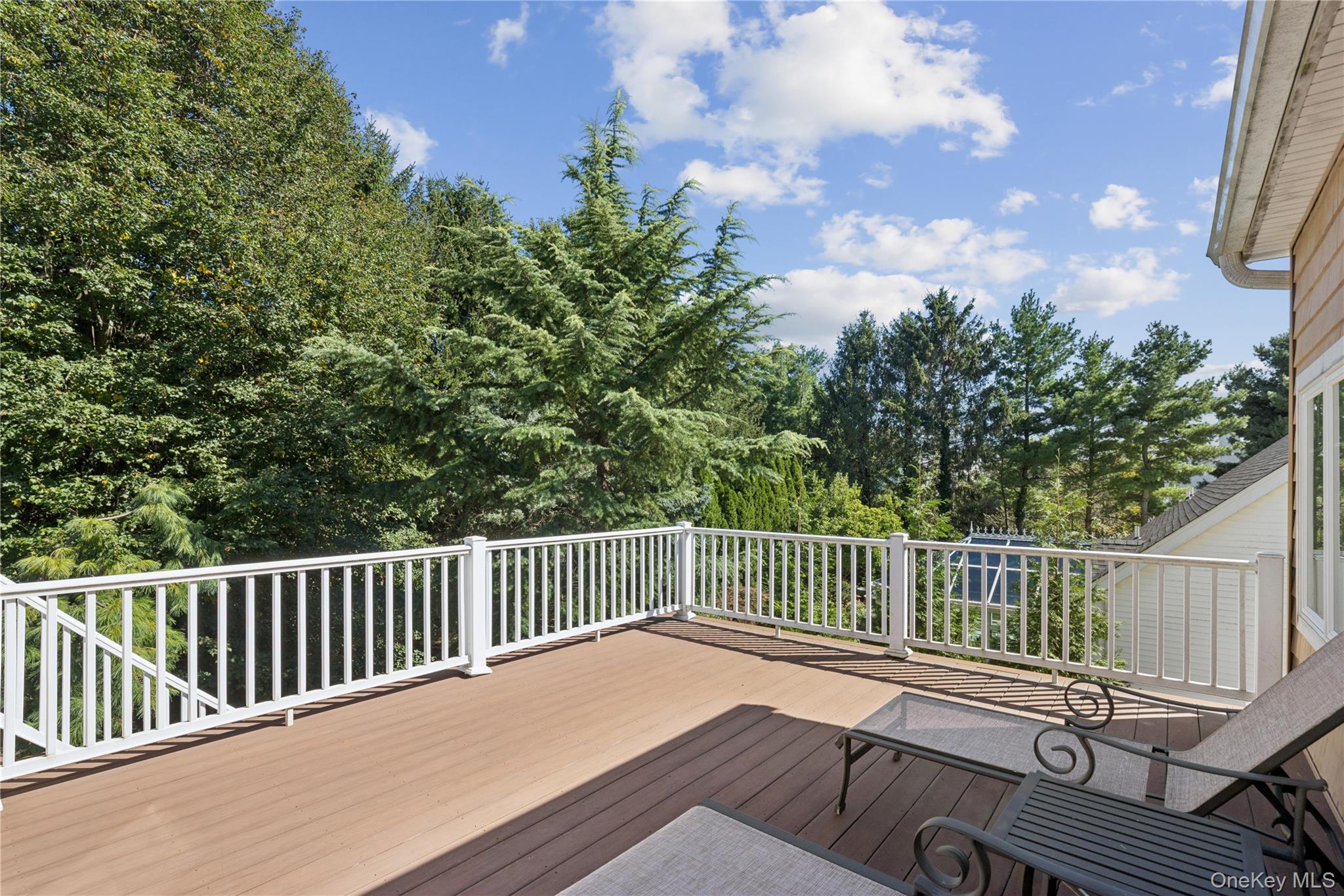 14 Esmond Avenue – For Sale photo 33