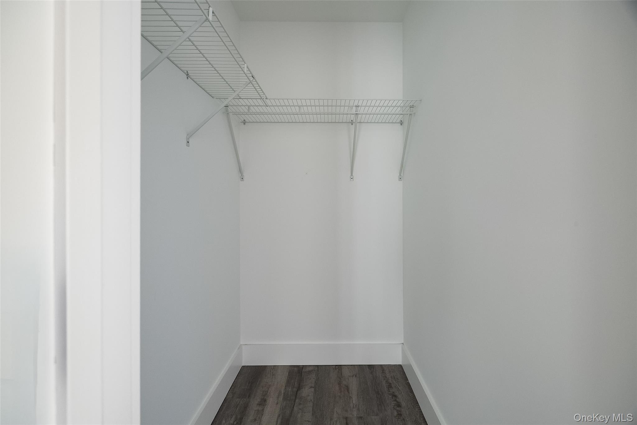 5 Douglas Street, Unit A photo 17