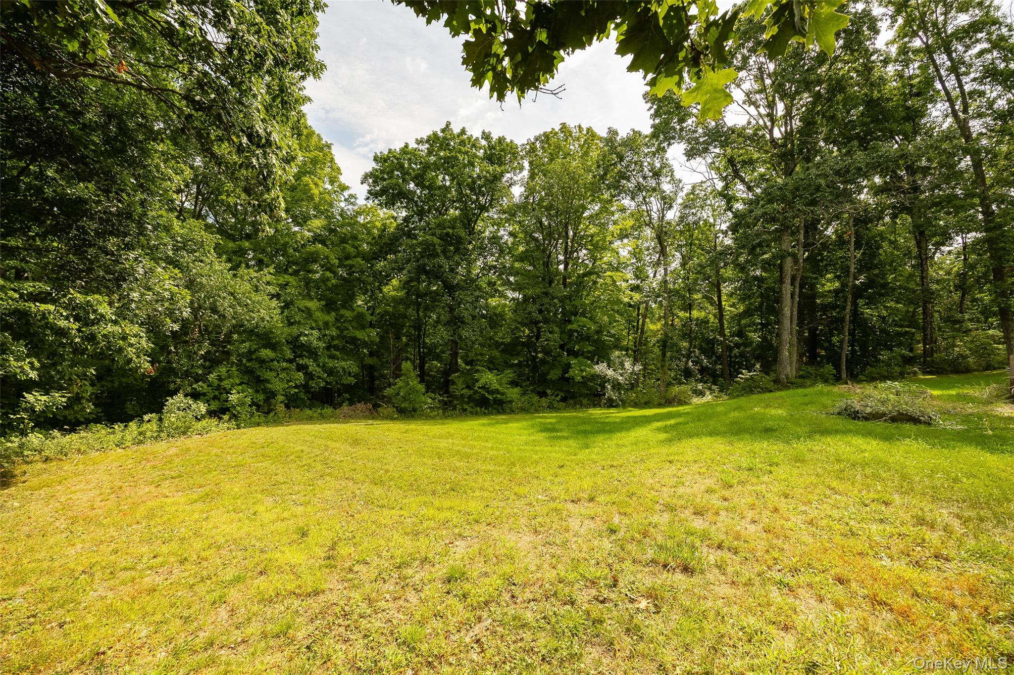226 Charwill Drive – For Sale photo 37