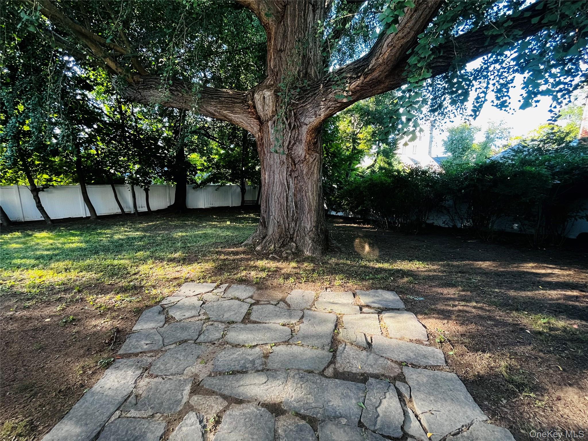21 Northview Terrace – For Rent photo 15