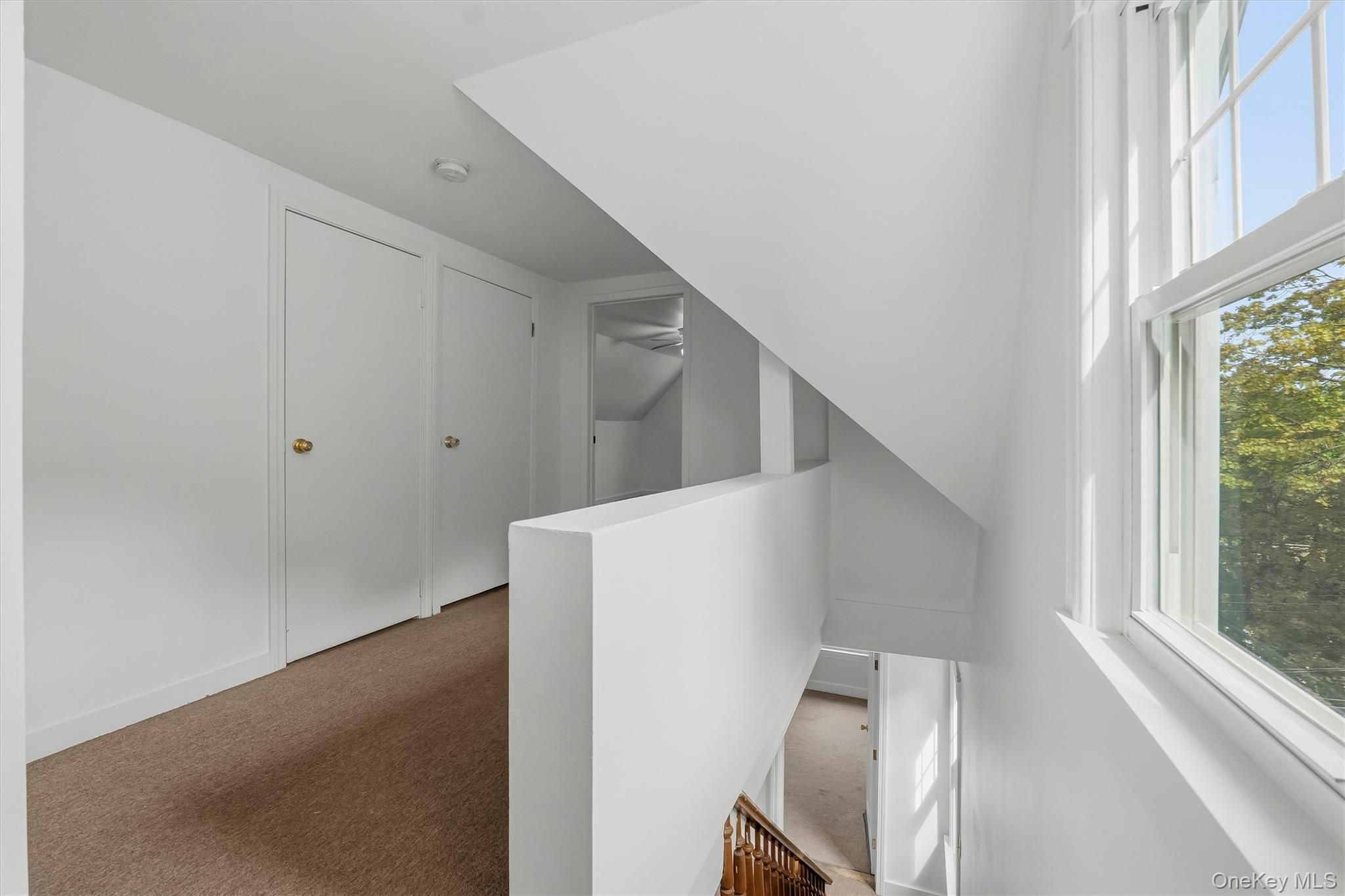 9 Desmond Avenue – For Sale photo 23