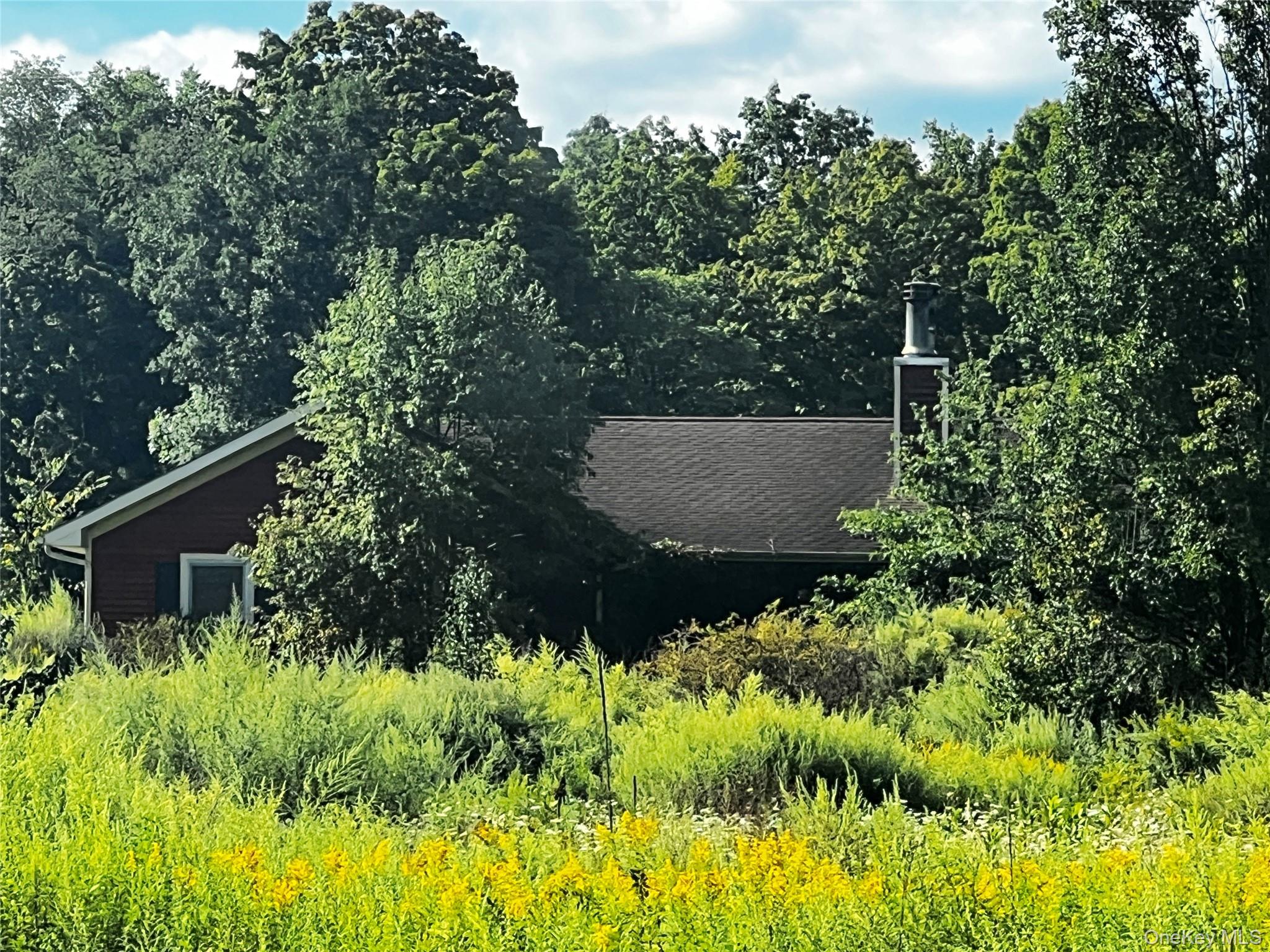907 Scotchtown Collabar Road – For Sale