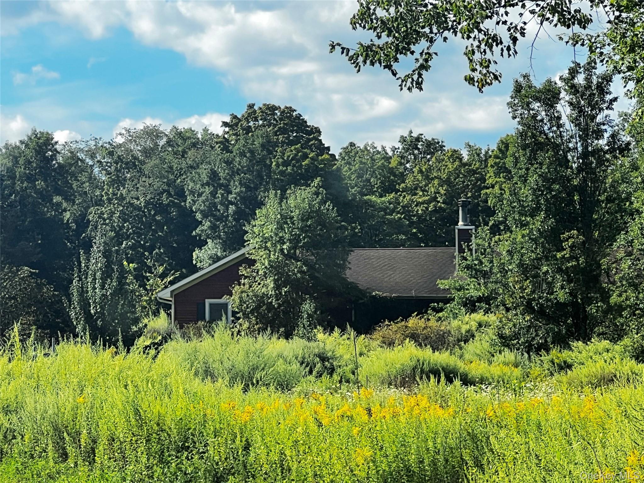 907 Scotchtown Collabar Road – For Sale photo 4