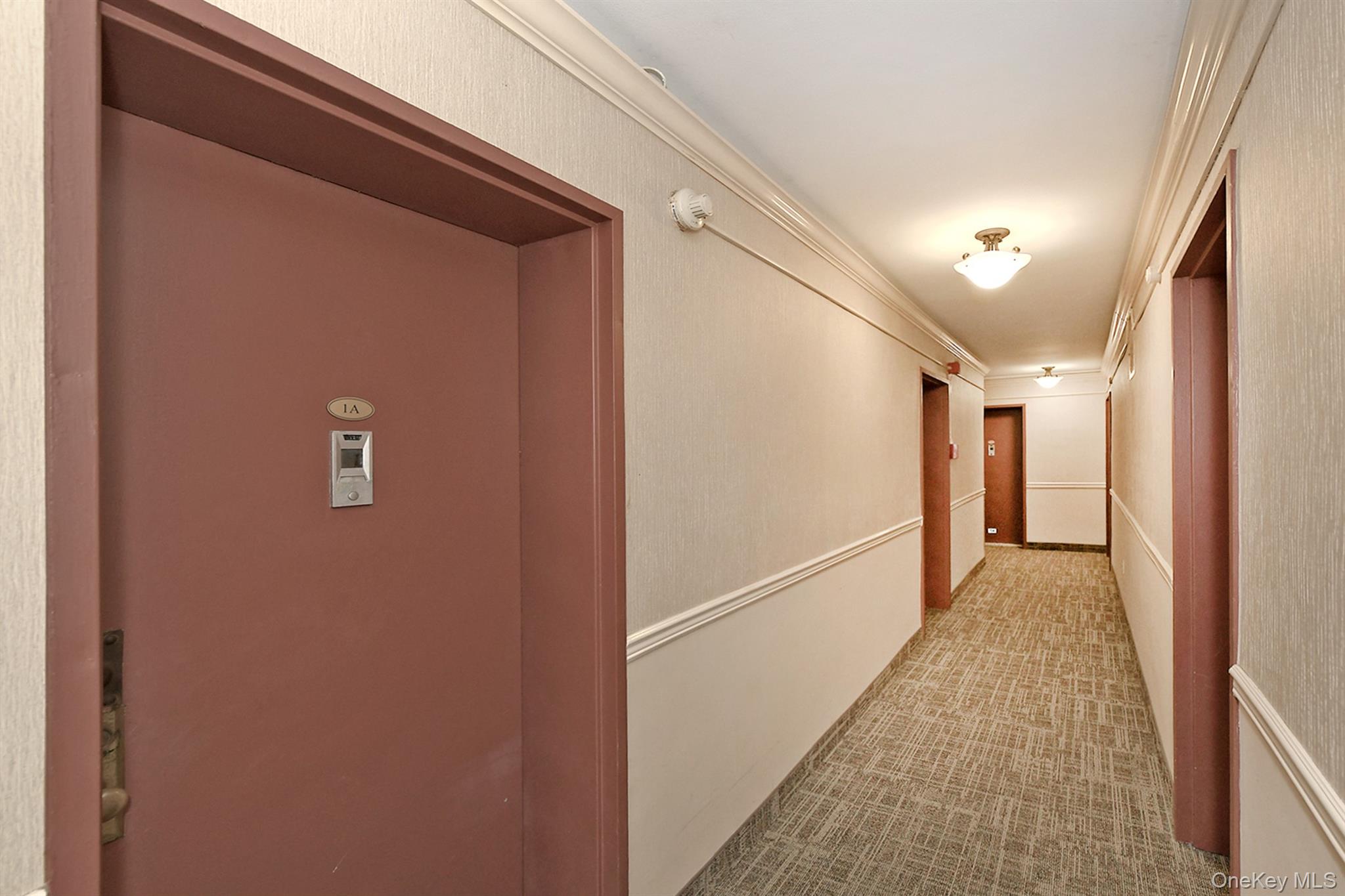 370 W Broadway, Unit 1A photo 5