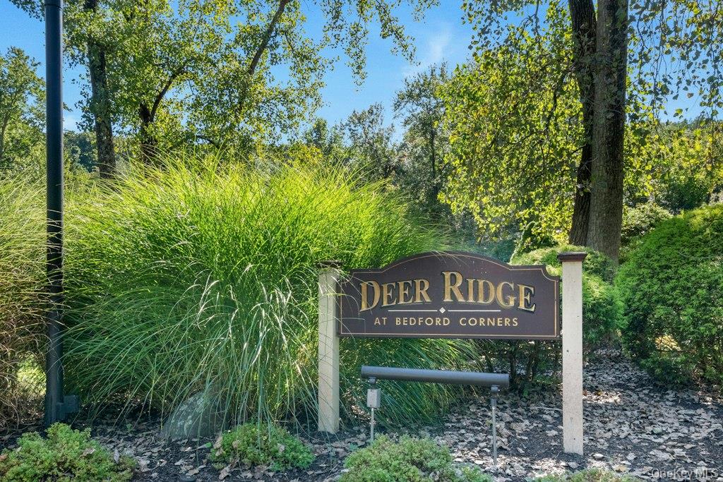 12 Deer Ridge Road, Unit D1 photo 31
