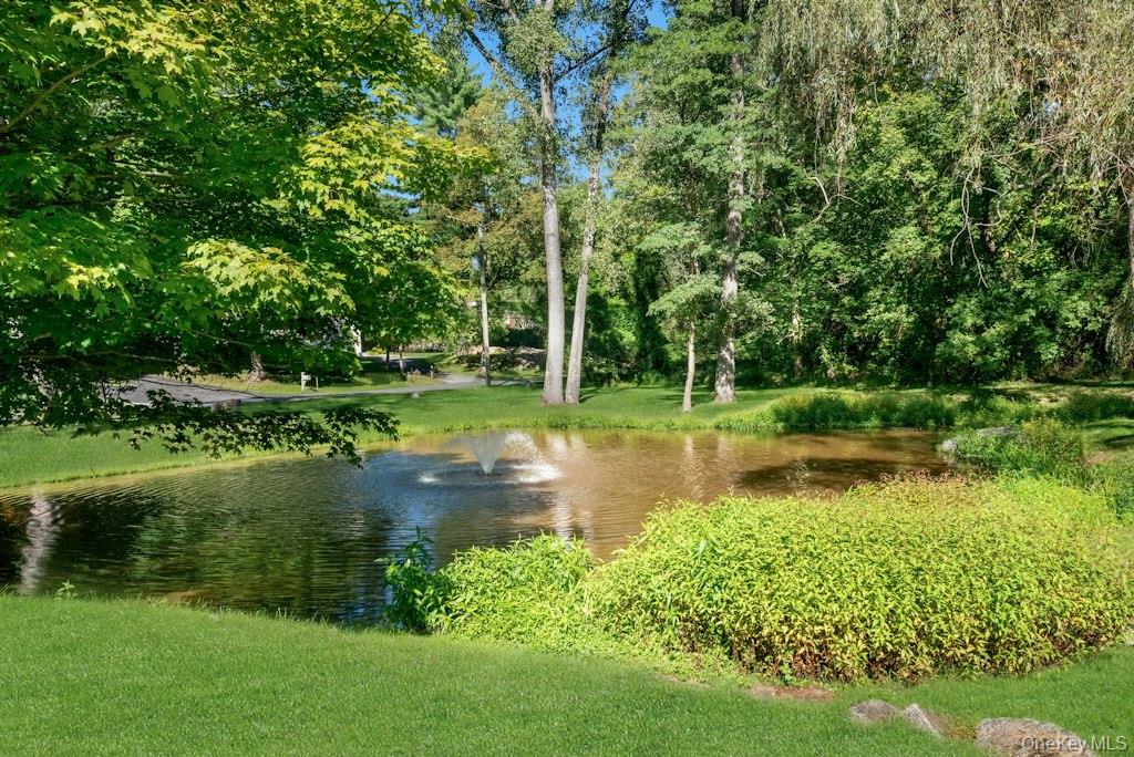 12 Deer Ridge Road – For Sale photo 33