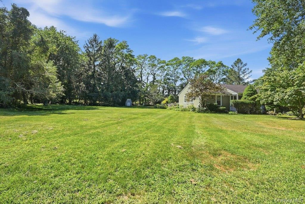 985 Silver Colt Road – For Sale photo 29