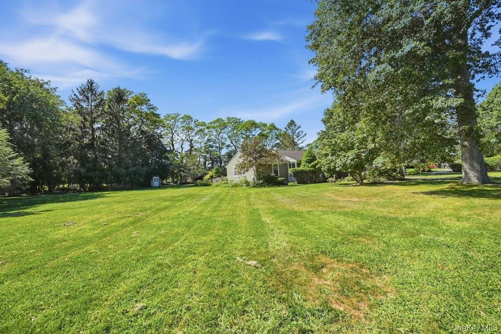 985 Silver Colt Road – For Sale photo 30