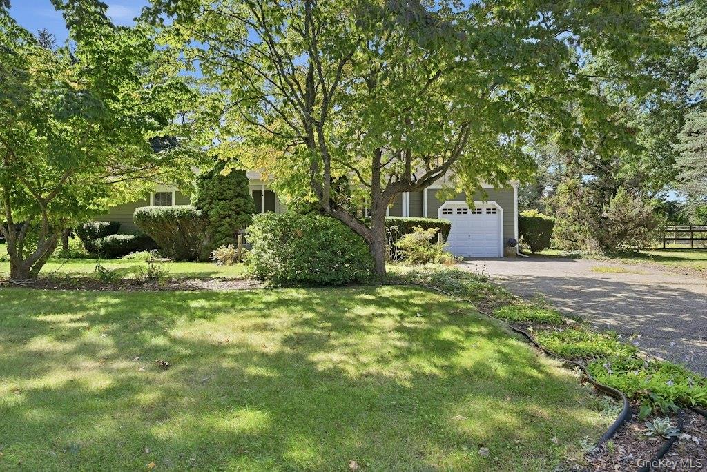 985 Silver Colt Road – For Sale